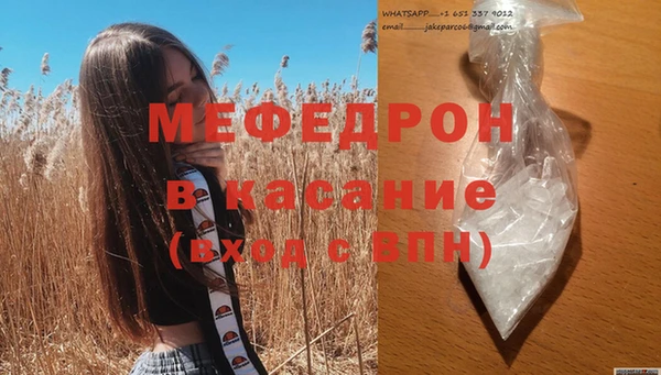 индика Аркадак