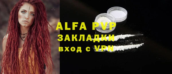 индика Аркадак