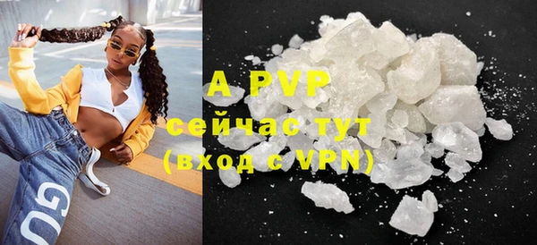 индика Аркадак