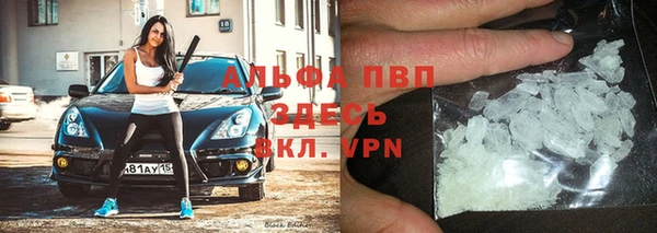 индика Аркадак
