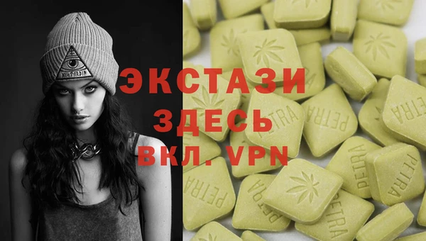 индика Аркадак