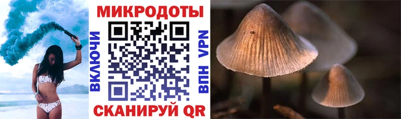 где найти наркотики  Спасск-Дальний  Галлюциногенные грибы Cubensis 